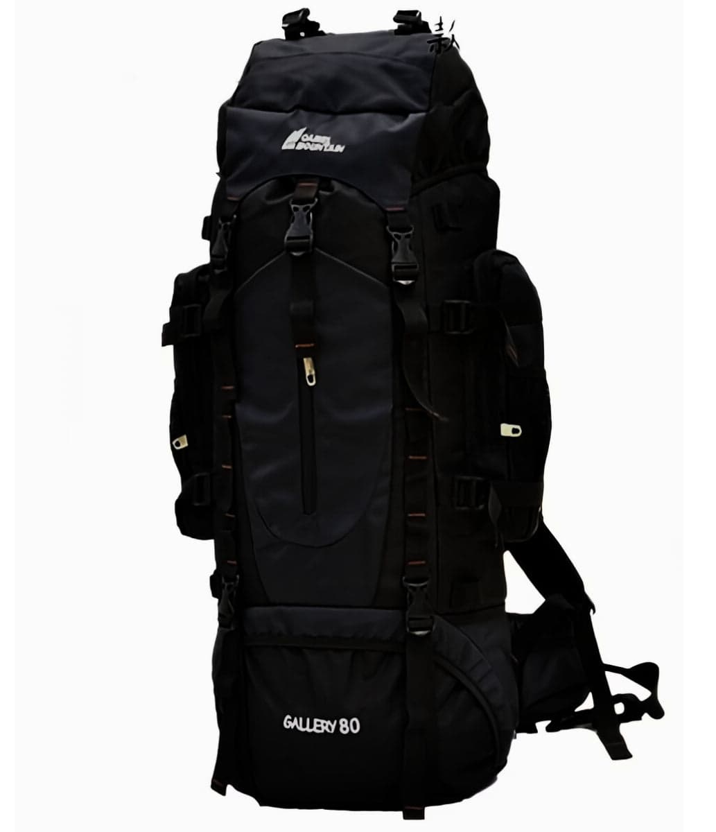 Gallery™ 80L Trekking Backpack, photo 2