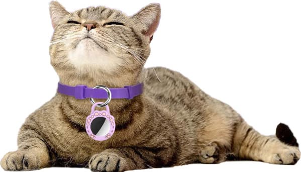 Nina Cat-Paw Silicone AirTag Keychain Case, photo 3