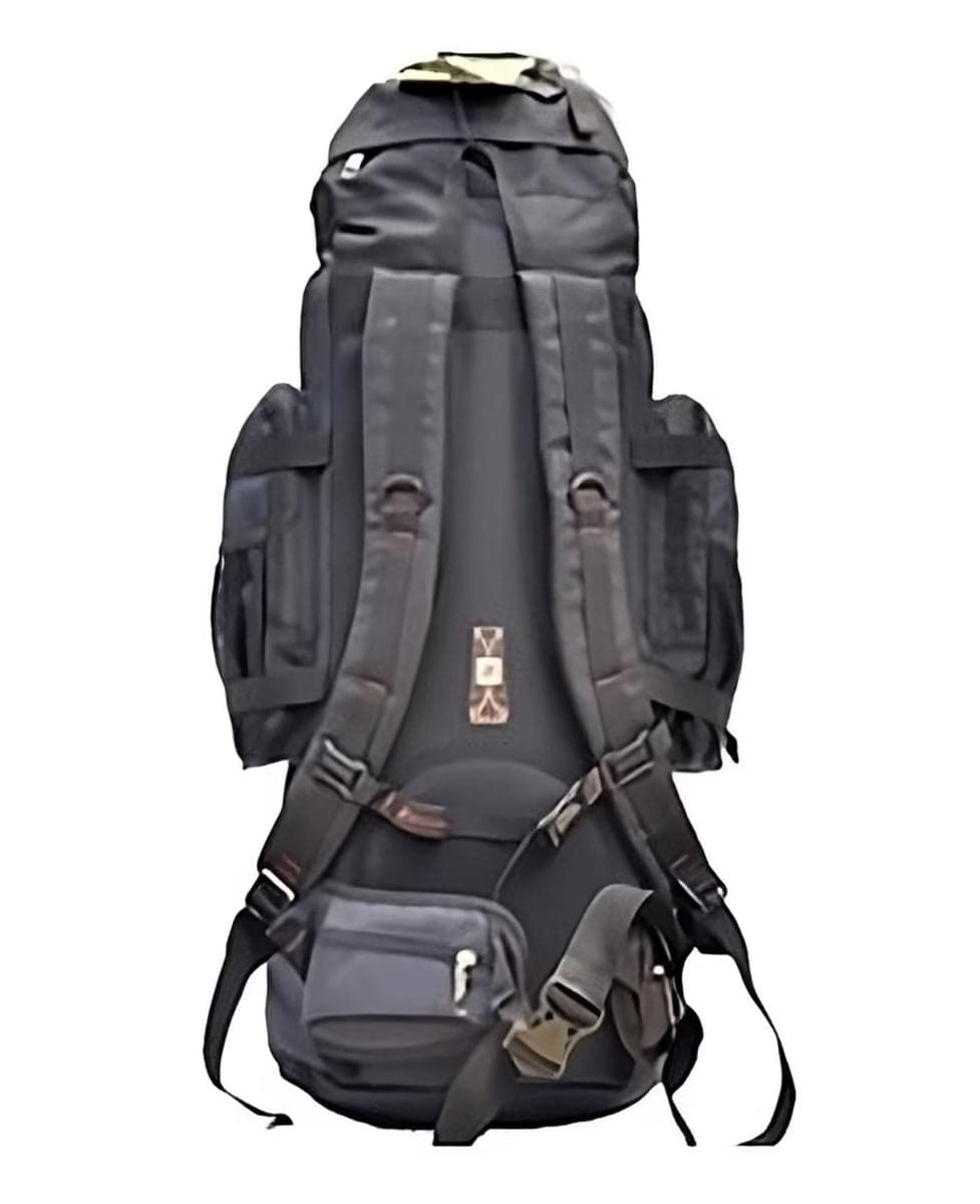 Gallery™ 80L Trekking Backpack, photo 3