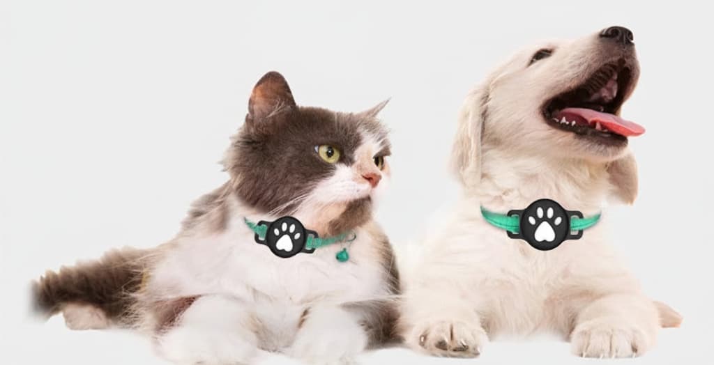 Luna Paw-Print Silicone AirTag Collar Holder for Dogs and Cats, photo 3