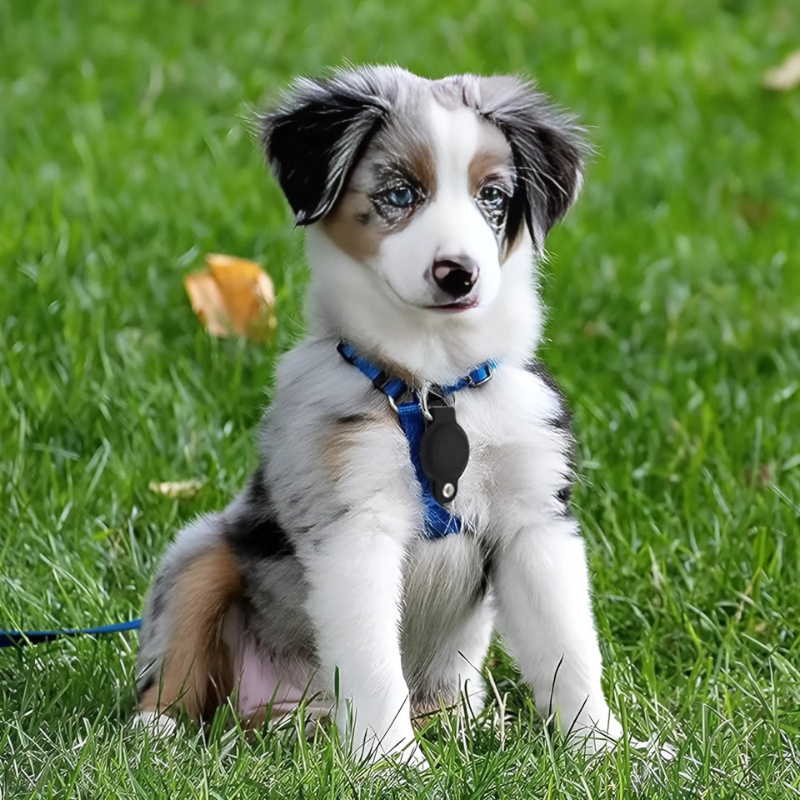 The Novaris™ Airtag Holder by Camel Mountain