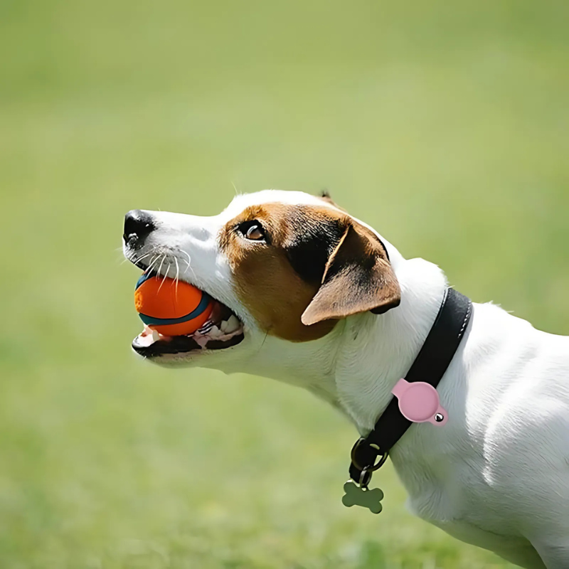 The Novaris™ Airtag Holder by Camel Mountain