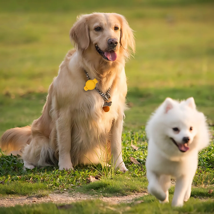 The Exonox™ Apple AirTag Protective Cover by Camel Mountain