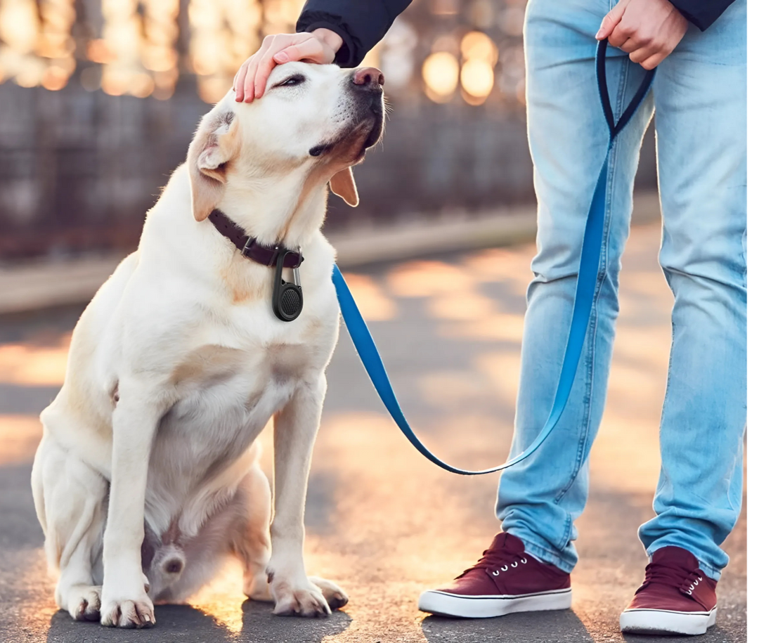 The Zyphor™ Evolve Airtag by Camel Mountain – Ultra-Protective Lightweight Outdoor Case